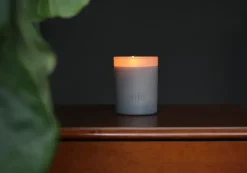 dilo candle No. 03 Tobacco + Cedar